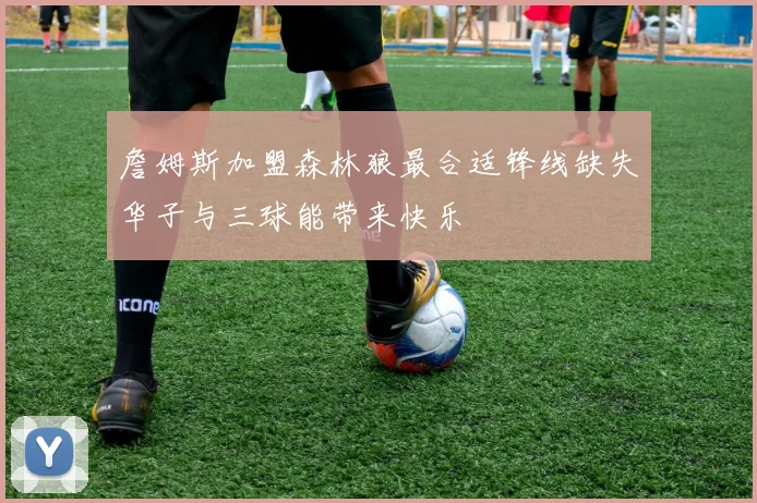 詹姆斯加盟森林狼最合适锋线缺失华子与三球能带来快乐
