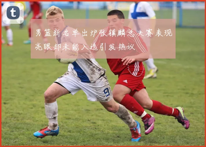男篮新名单出炉张镇麟总决赛表现亮眼却未能入选引发热议