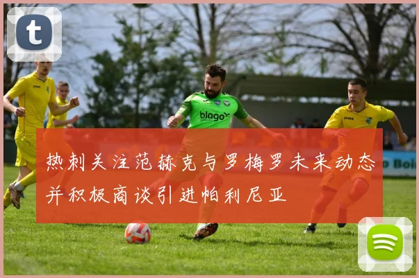 热刺关注范赫克与罗梅罗未来动态并积极商谈引进帕利尼亚